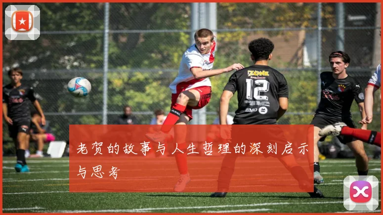 老贺的故事与人生哲理的深刻启示与思考