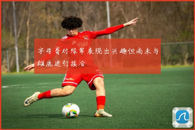 字母哥对绿军表现出兴趣但尚未与雄鹿进行接洽